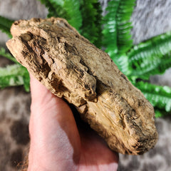 Sumatran Petrified Wood & Amber, XL A (7