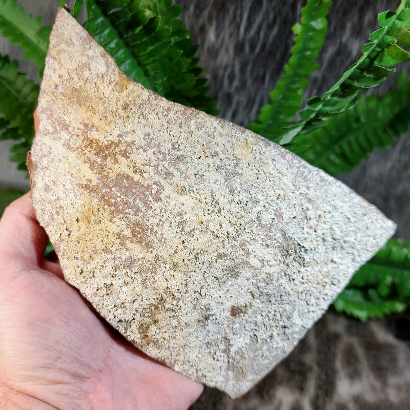 Ancient Shipwreck Pottery K, Roman (SALE)