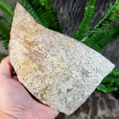 Ancient Shipwreck Pottery K, Roman (SALE)