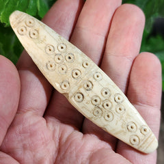 Ancient Egyptian Bone Spacer