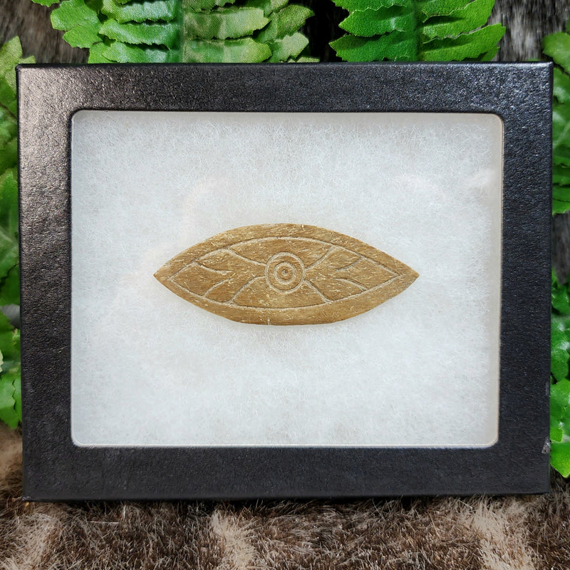 Ancient Egyptian Bone "Eye" Inlay