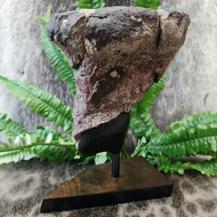 Dinosaur Limb Bone End B, XL (On Stand)