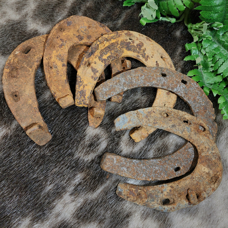 Medieval Horseshoes
