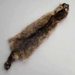 Raccoon Pelt, Salvaged