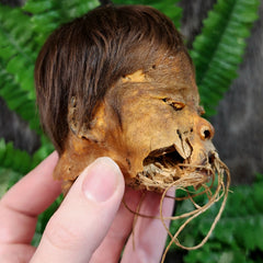 Shrunken Head