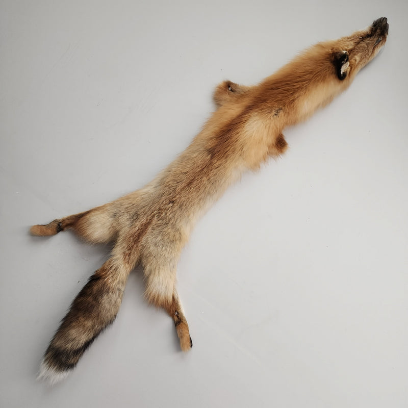 Red Fox Fur, Salvaged