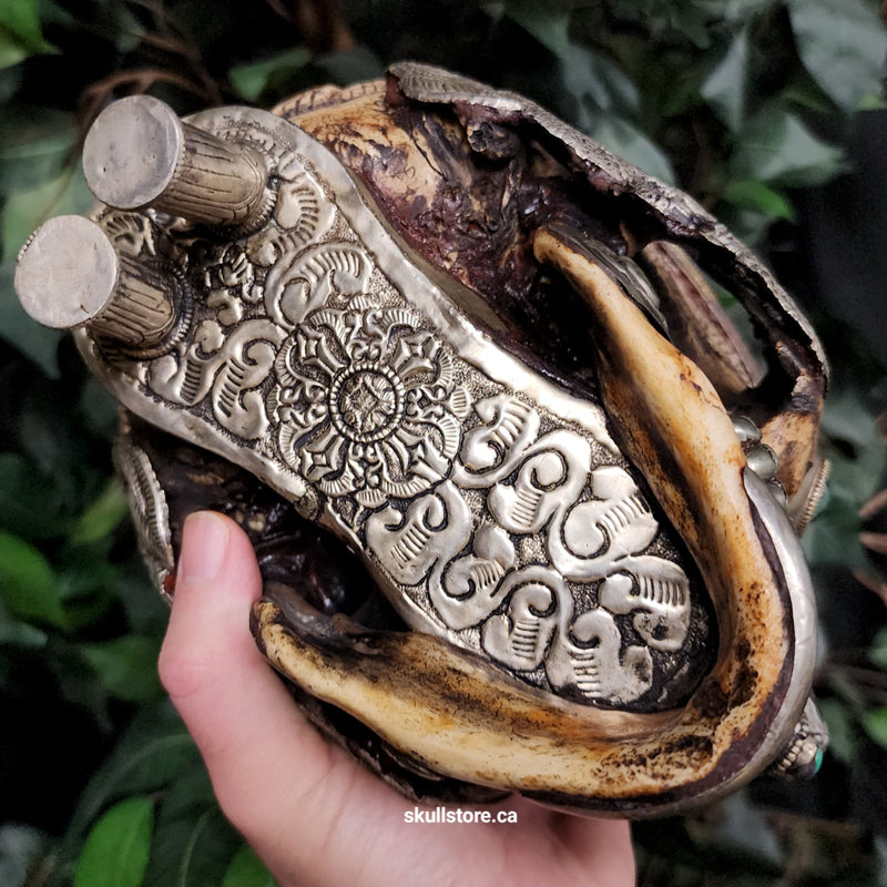 Tibetan Kapala Skull