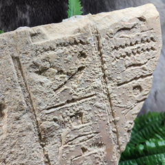 Ancient Egyptian Hieroglyphic Relief, B