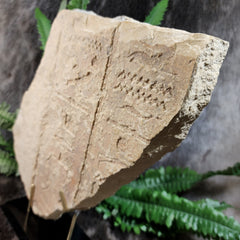 Ancient Egyptian Hieroglyphic Relief, B