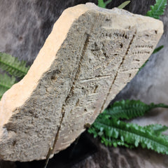Ancient Egyptian Hieroglyphic Relief, B