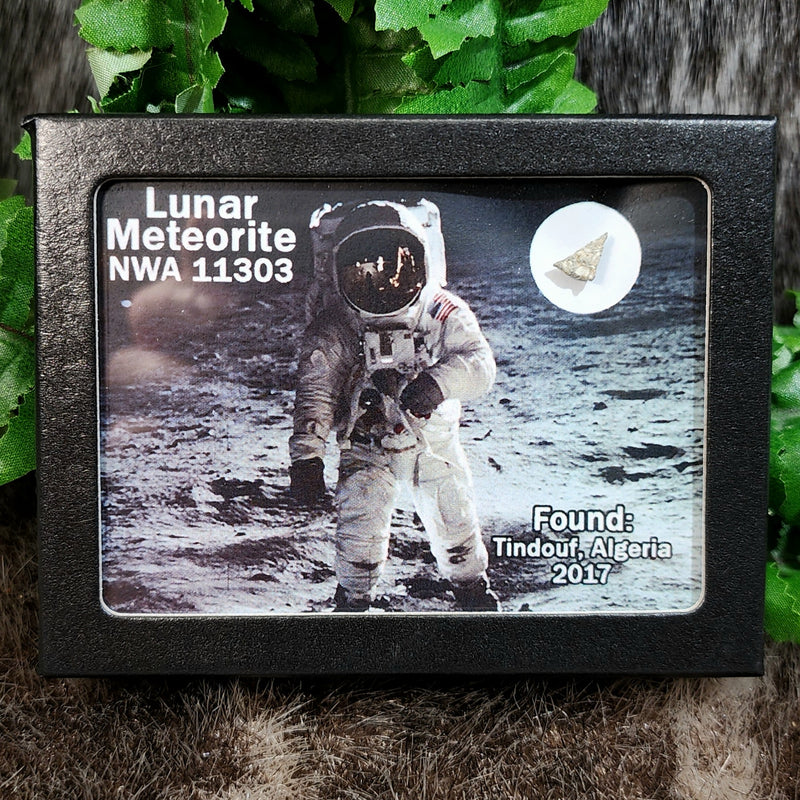 Lunar Meteorite - NWA 11303 (Framed)