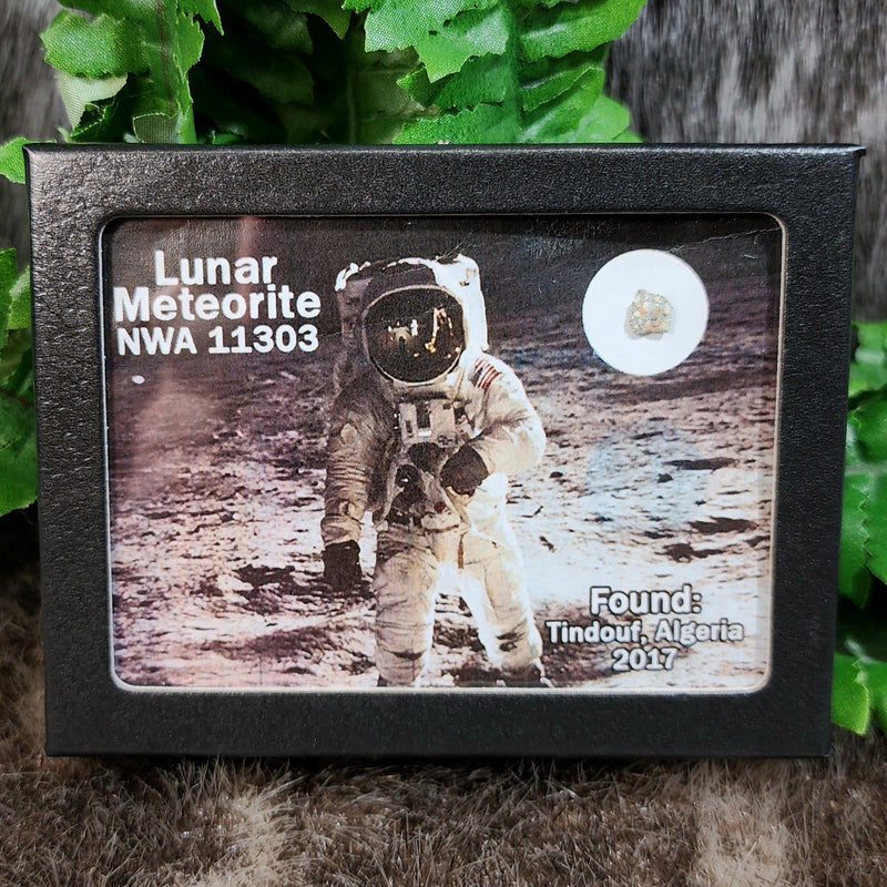 Lunar Meteorite - NWA 11303 (Framed)
