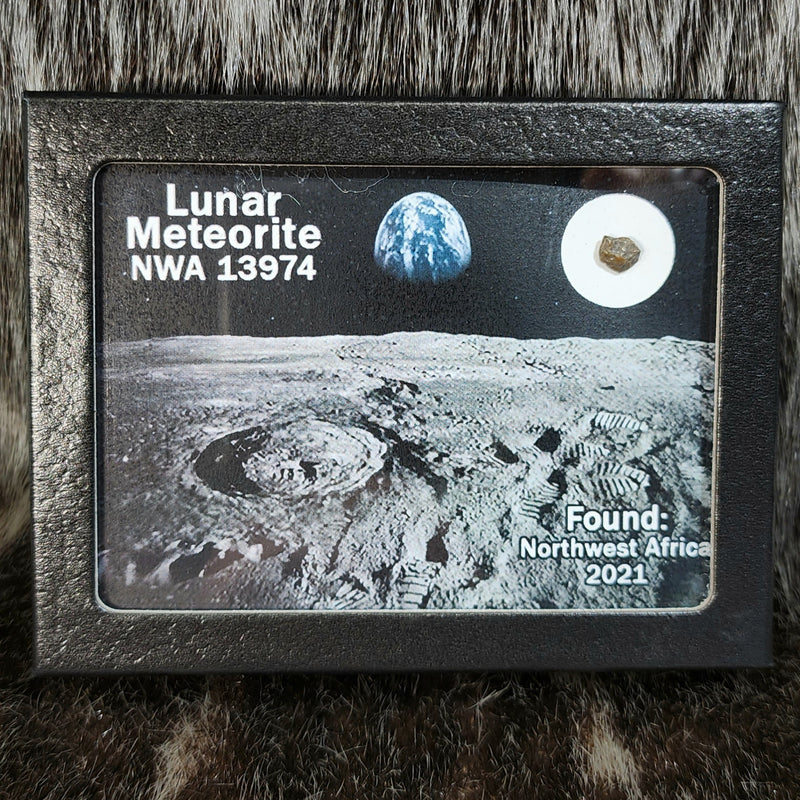 Lunar Meteorite - NWA 13974 (Framed)