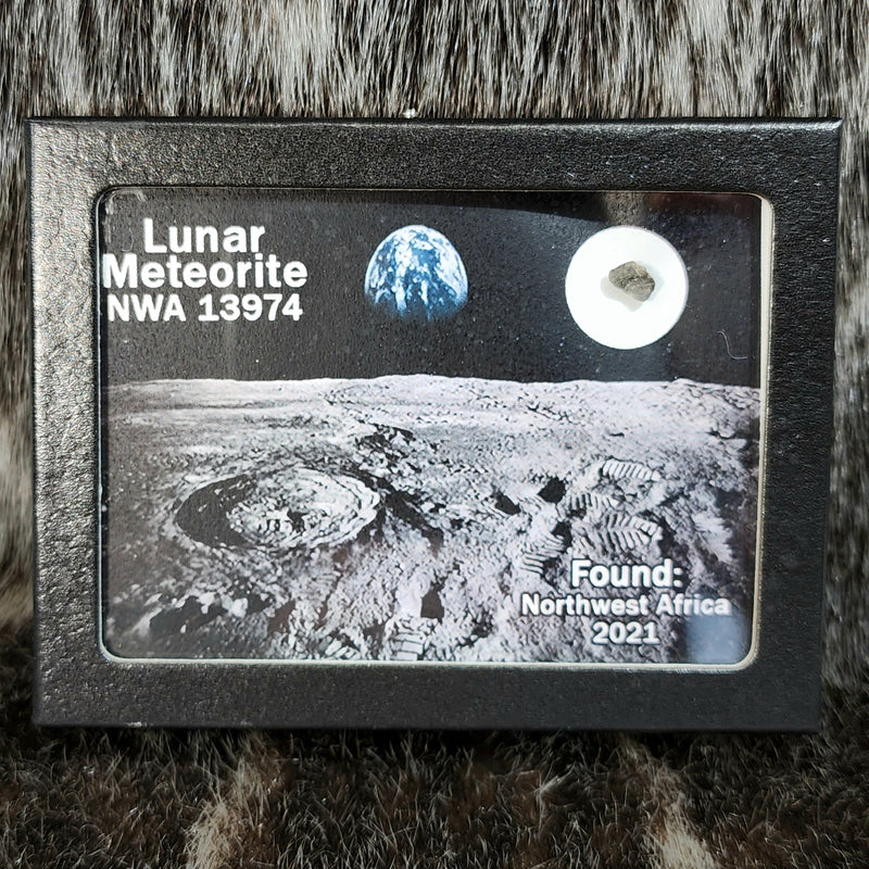 Lunar Meteorite - NWA 13974 (Framed)