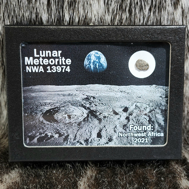 Lunar Meteorite - NWA 13974 (Framed)