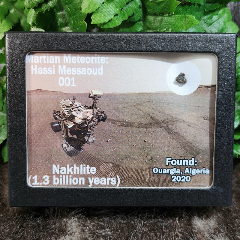 Martian Meteorite - Hassi Messaoud 001 (Framed)