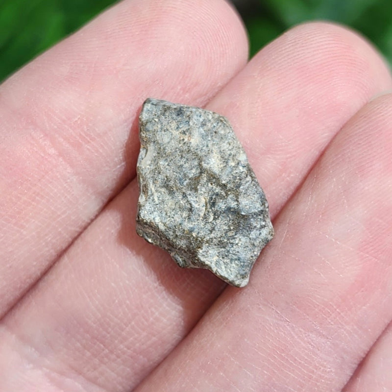 Lunar Meteorite - NWA 13974, A (1.2g)
