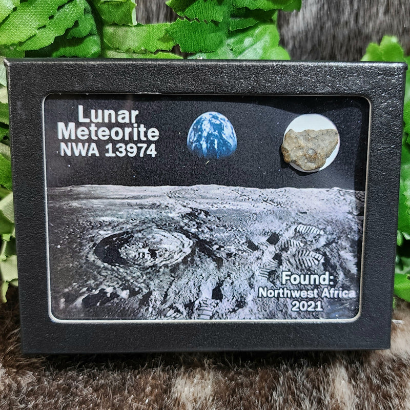 Lunar Meteorite - NWA 13974, B (.9g)