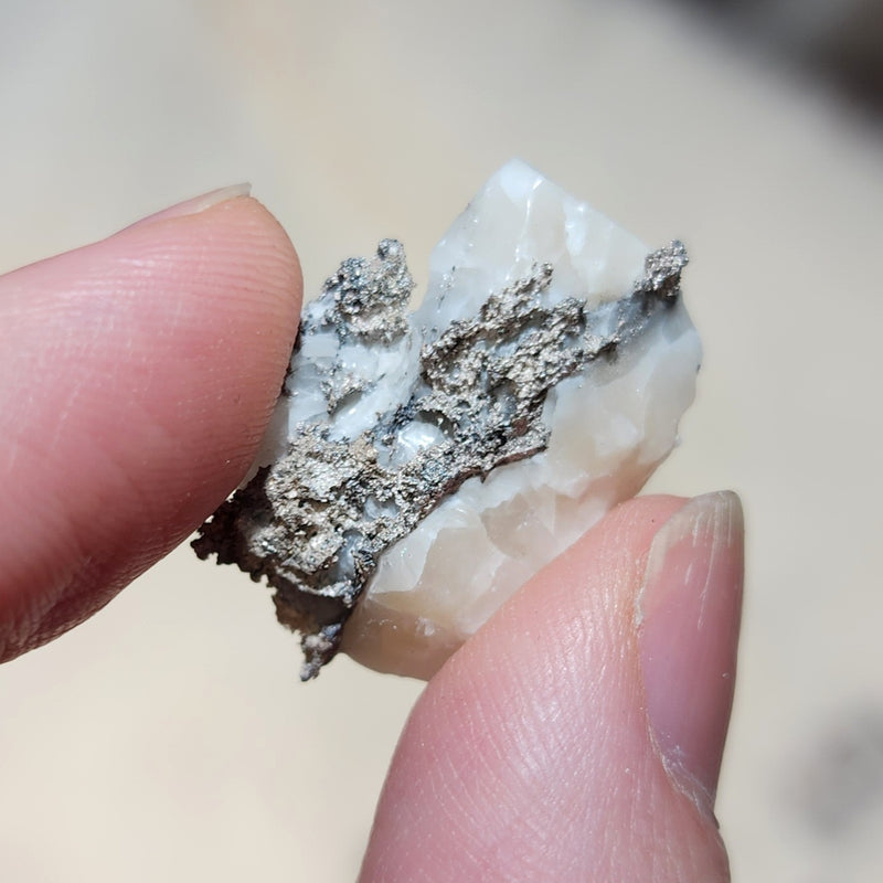 Native Silver, Morocco (1")