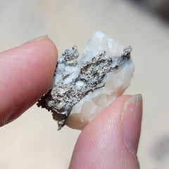 Native Silver, Morocco (1