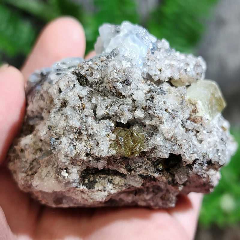 Apatite Crystals On Opal, Mexico F (2.25")