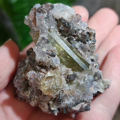 Apatite Crystals, Mexico G (2.25