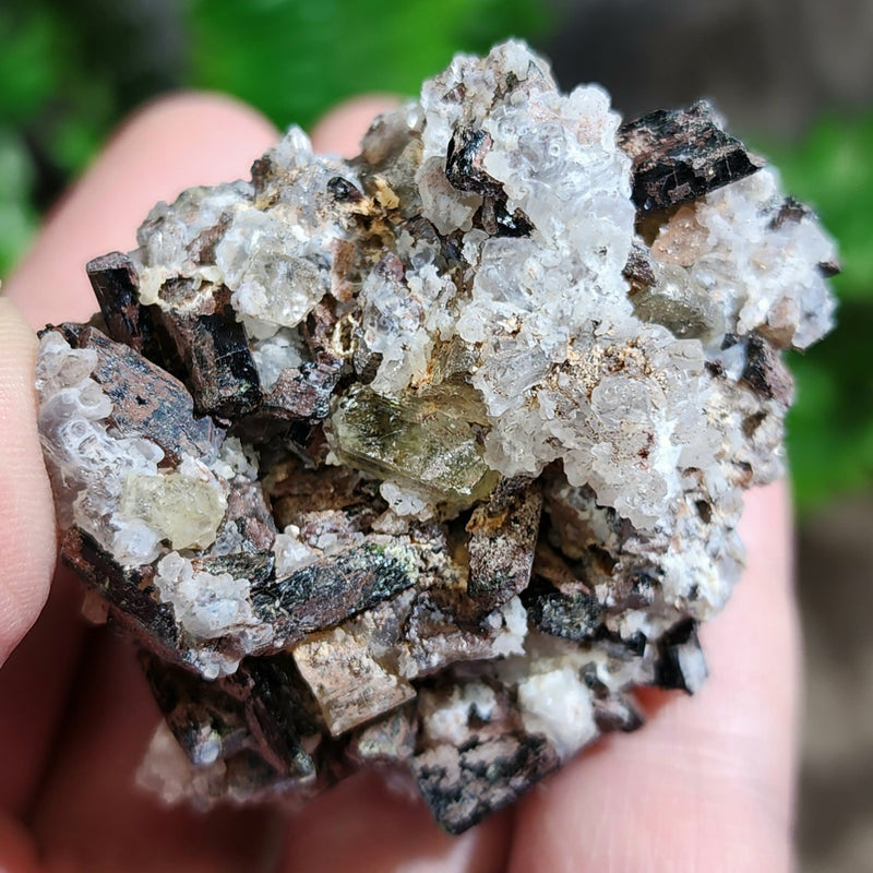 Apatite Crystals, Mexico G (2.25")