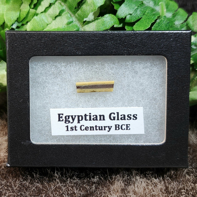 Ancient Egyptian Glass Inlays | SkullStore Inc.
