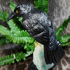 Onyx Carved Crows, XXL A