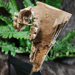 Human Jaw In Cave Formation, 7000 Years Old