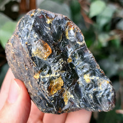 Sumatran Amber, E