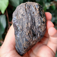 Sumatran Amber, E