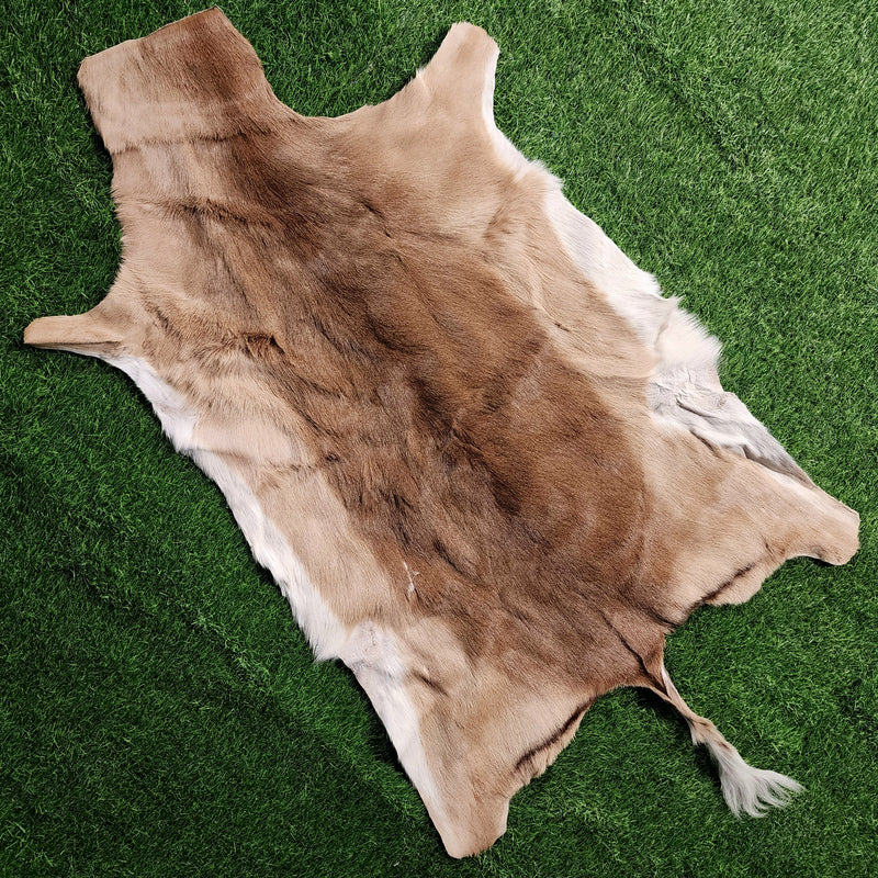 Impala Pelts