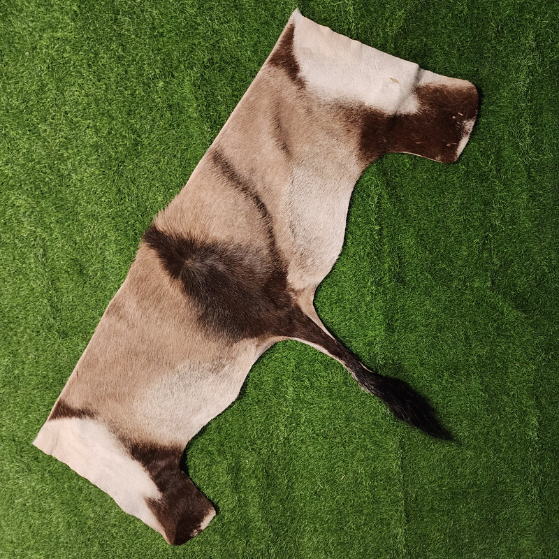 Gemsbok Pelt Segments