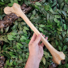 Human Femur Bone A