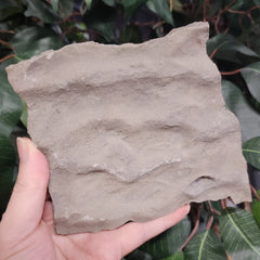 Fossilized Seabed D (Preserved Waves)