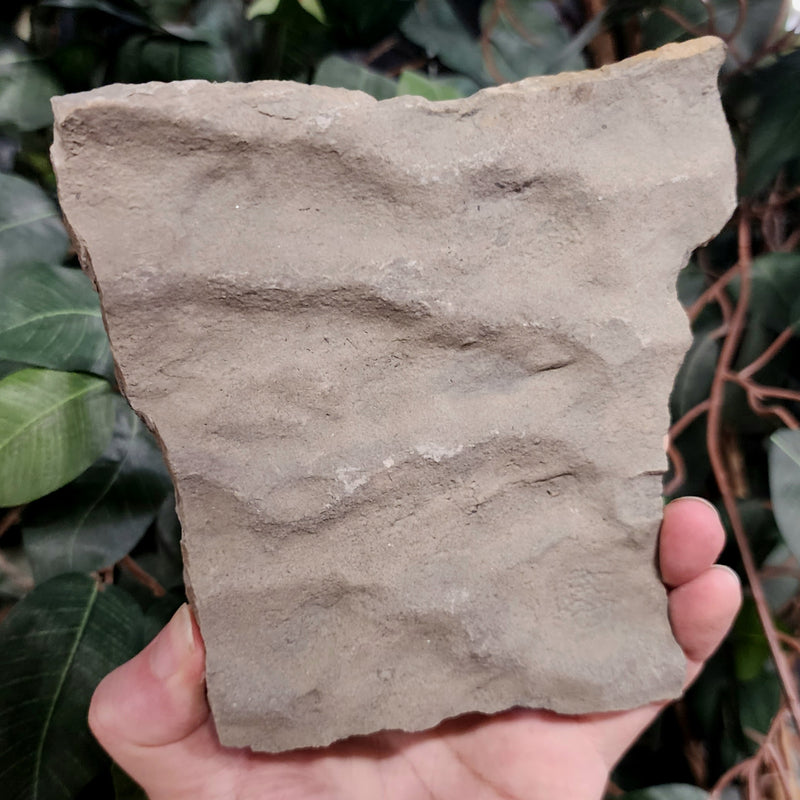 Fossilized Seabed C (Preserved Waves)