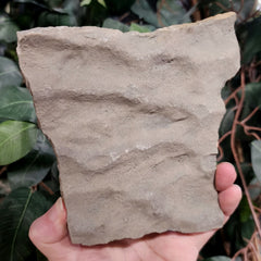 Fossilized Seabed C (Preserved Waves)