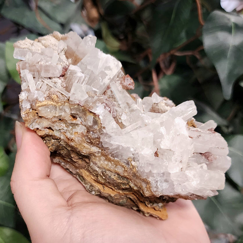 Selenite Crystal, Morocco B
