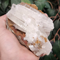 Selenite Crystal, Morocco C