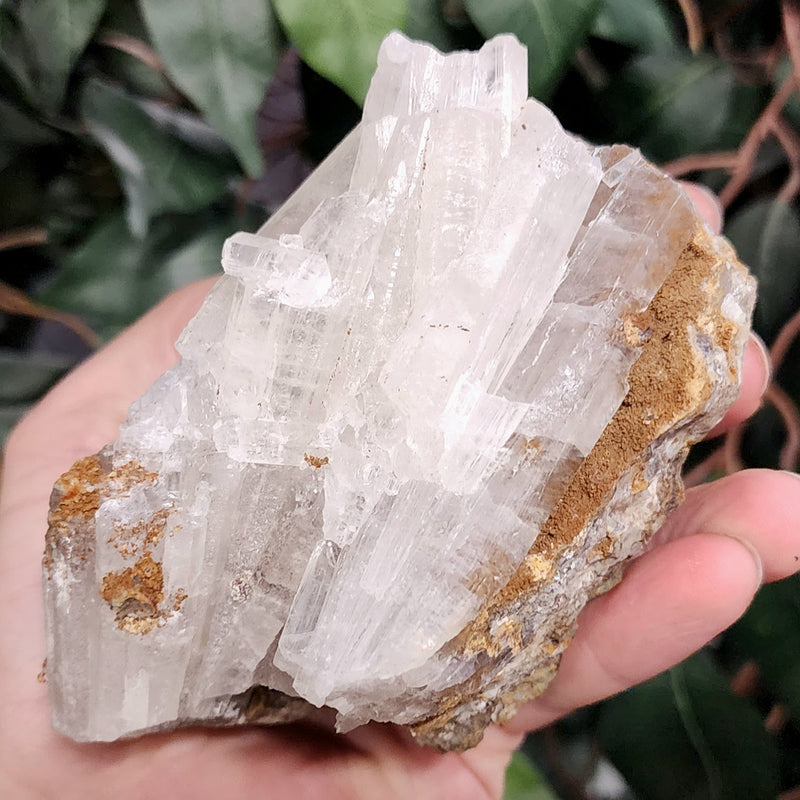 Selenite Crystal, Morocco C