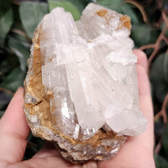 Selenite Crystal, Morocco C