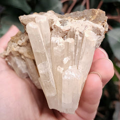 Selenite Crystal, Morocco D