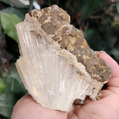 Selenite Crystal, Morocco D