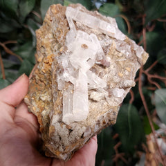 Selenite Crystal, Morocco E