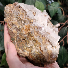 Selenite Crystal, Morocco E