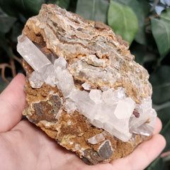 Selenite Crystal, Morocco F