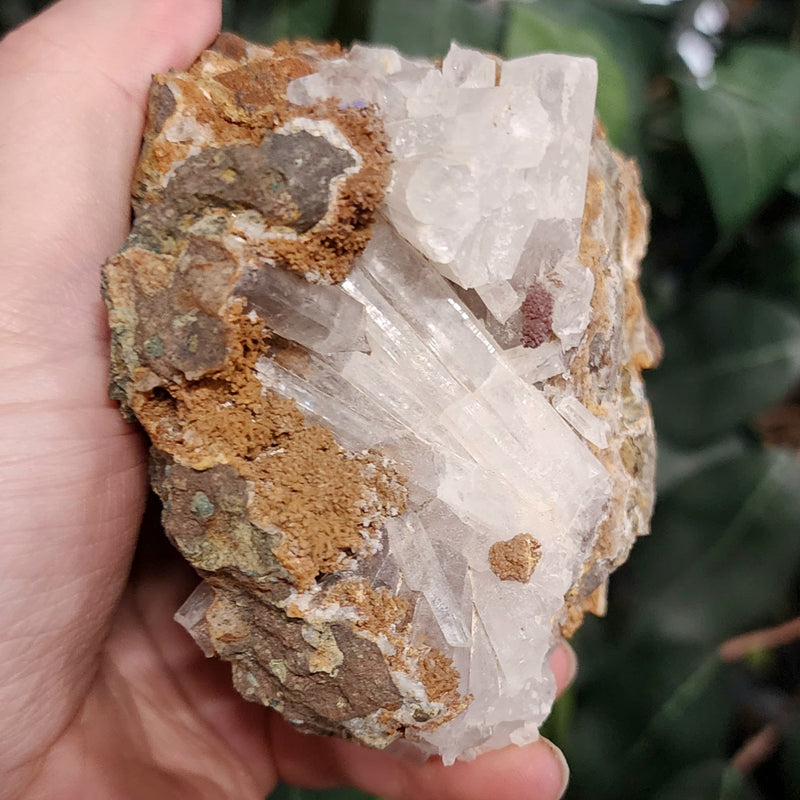 Selenite Crystal, Morocco F