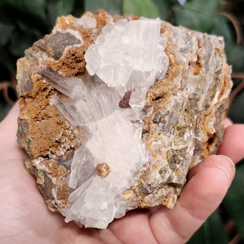 Selenite Crystal, Morocco F
