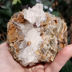 Selenite Crystal, Morocco F